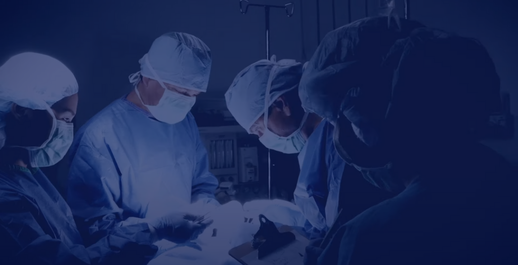 awareness months csah (37)